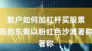 散户如何加杠杆买股票岛的东侧以粉红色沙滩著称