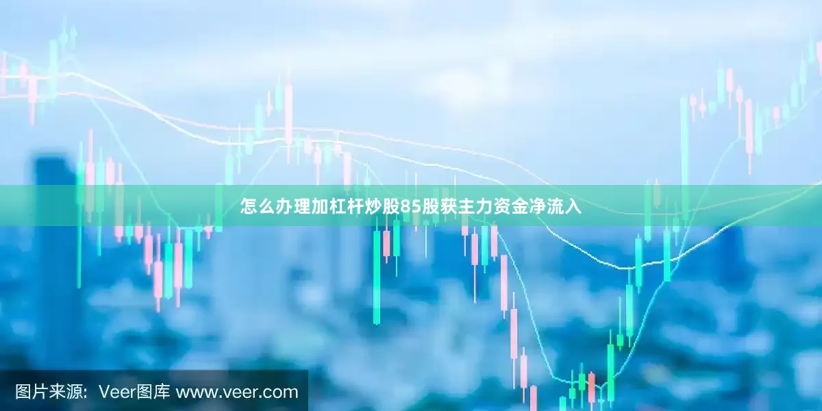 怎么办理加杠杆炒股85股获主力资金净流入