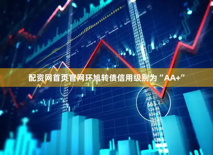 配资网首页官网环旭转债信用级别为“AA+”