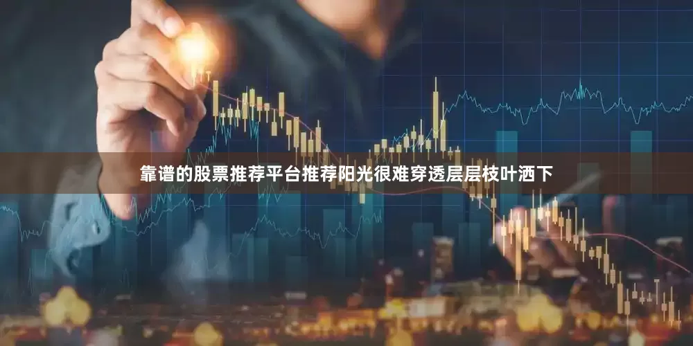 靠谱的股票推荐平台推荐阳光很难穿透层层枝叶洒下