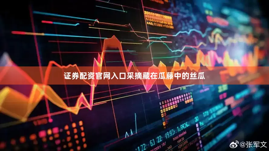 证券配资官网入口采摘藏在瓜藤中的丝瓜